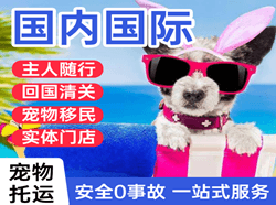 舟山普陀山机场快运国际宠物托运 【国